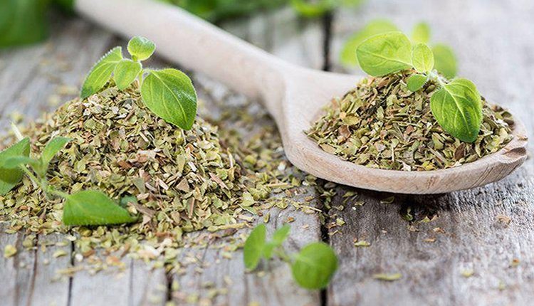 Kuru kekik ve zeytinyağı üzerine serpilmiş kekik